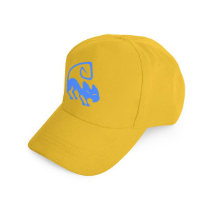 Бейсболка №16