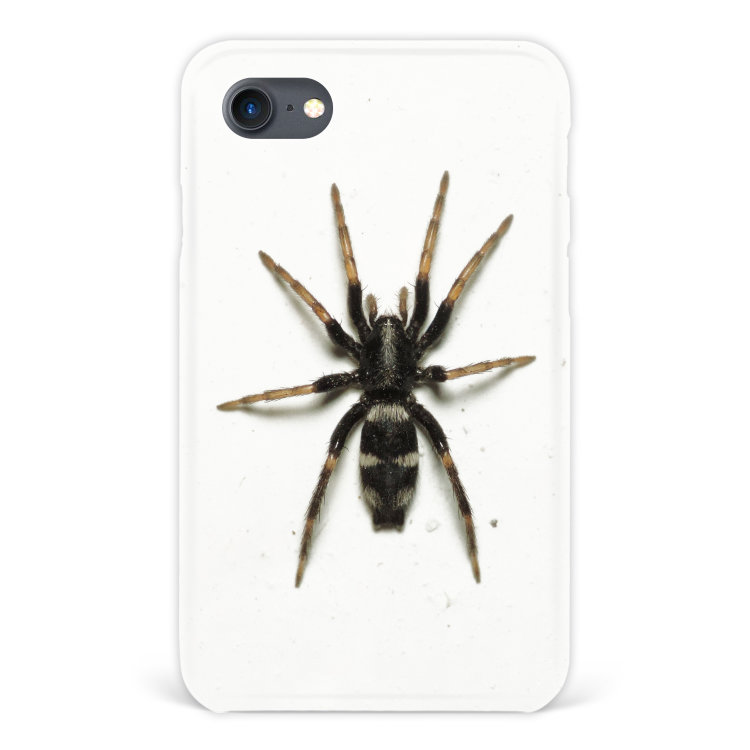 Case for iPhone 7 &quot;Spider&quot; №6 