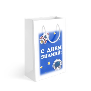 Пакет подарочный 23х36х10 см "Космос"
