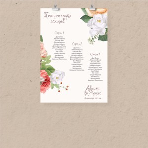 План рассадки А3 "Мечта"