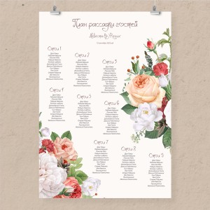 План рассадки А0 "Мечта"