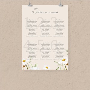 План рассадки А2 "Ромашка"