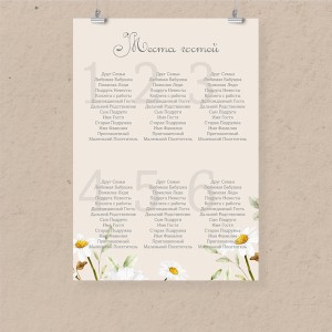 План рассадки А1 "Ромашка"