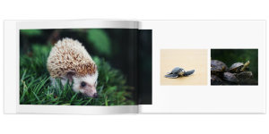 Полиграфическая фотокнига Свой дизайн 30x20