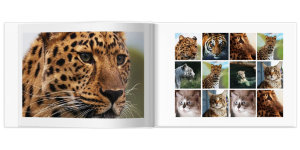 Полиграфическая фотокнига Свой дизайн 30x20