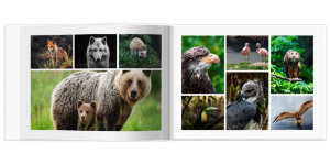 Полиграфическая фотокнига Свой дизайн 30x20