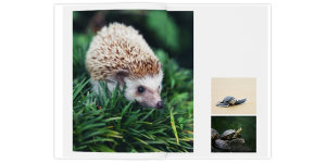 Полиграфическая фотокнига Свой дизайн 20x30
