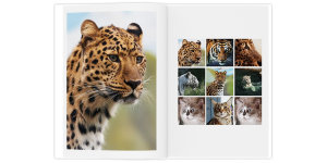 Полиграфическая фотокнига Свой дизайн 20x30