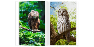 Полиграфическая фотокнига Свой дизайн 20x30