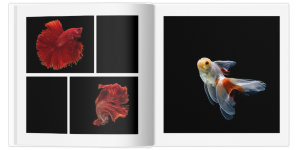 Полиграфическая фотокнига Свой дизайн 30x30