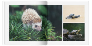 Полиграфическая фотокнига Свой дизайн 30x30