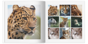 Полиграфическая фотокнига Свой дизайн 30x30