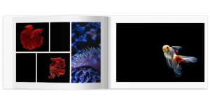 Полиграфическая фотокнига Свой дизайн 42x30