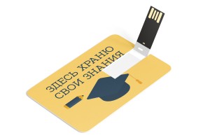 USB Флэшка-карта №4