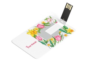 USB Флэшка-карта №7