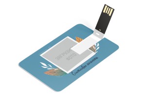 USB Флэшка-карта №11