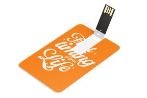 USB Флэшка-карта №15