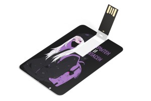 USB Флэшка-карта №14