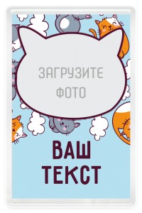 Магнит акриловый 50х77 мм "Котики"