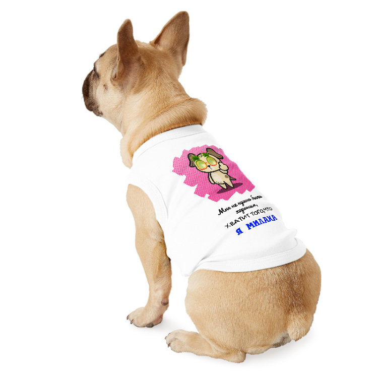 Футболка собака. Пес в футболке. Спортивные майки для собак. Майка для собак. Футболка с принтом собаки.