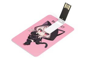 USB Флэшка-карта №22