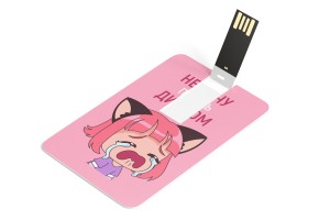 USB Флэшка-карта №21