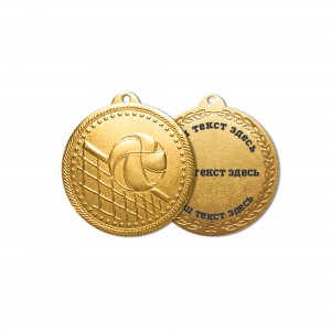 Медаль Волейбол (золото) №1