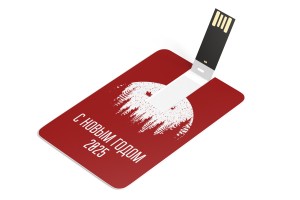 USB Флэшка-карта №16