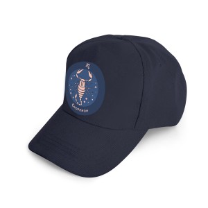 Бейсболка DTF №40 Знаки Зодиака