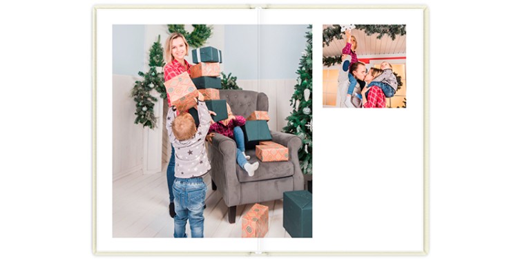 Фотокнига Семейный альбом 20x30 см