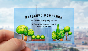 Transparent plastic business card №60