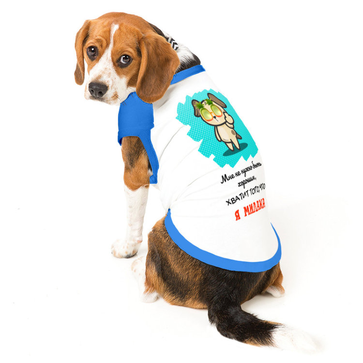 Беговые майки для собак. Майка пёс. Футболки с биглями. Футболки для собак. Футболки для собак.