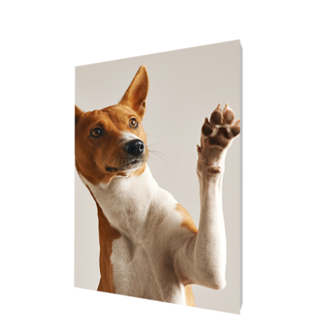 Фото на пенокартоне