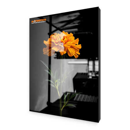 Пластификация фото